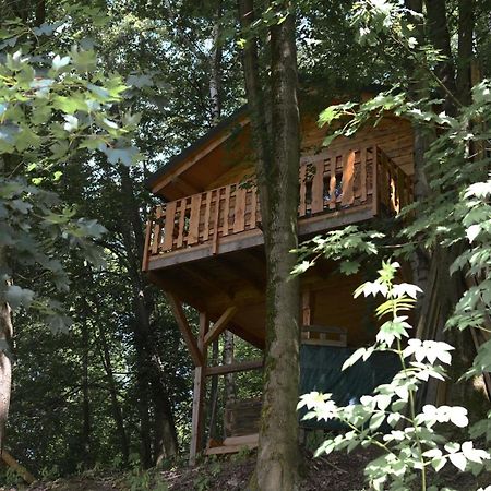 Treehouse Velké Losiny 외부 사진