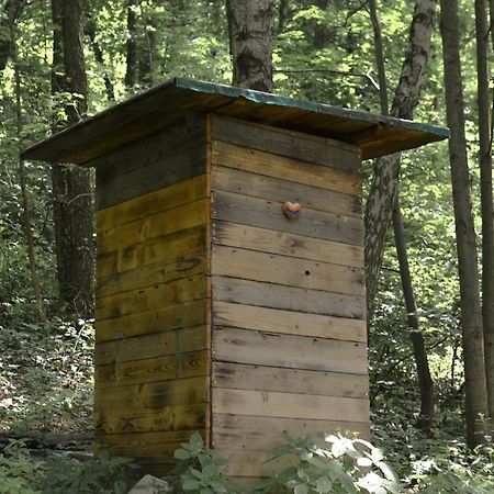 Treehouse Velké Losiny 외부 사진