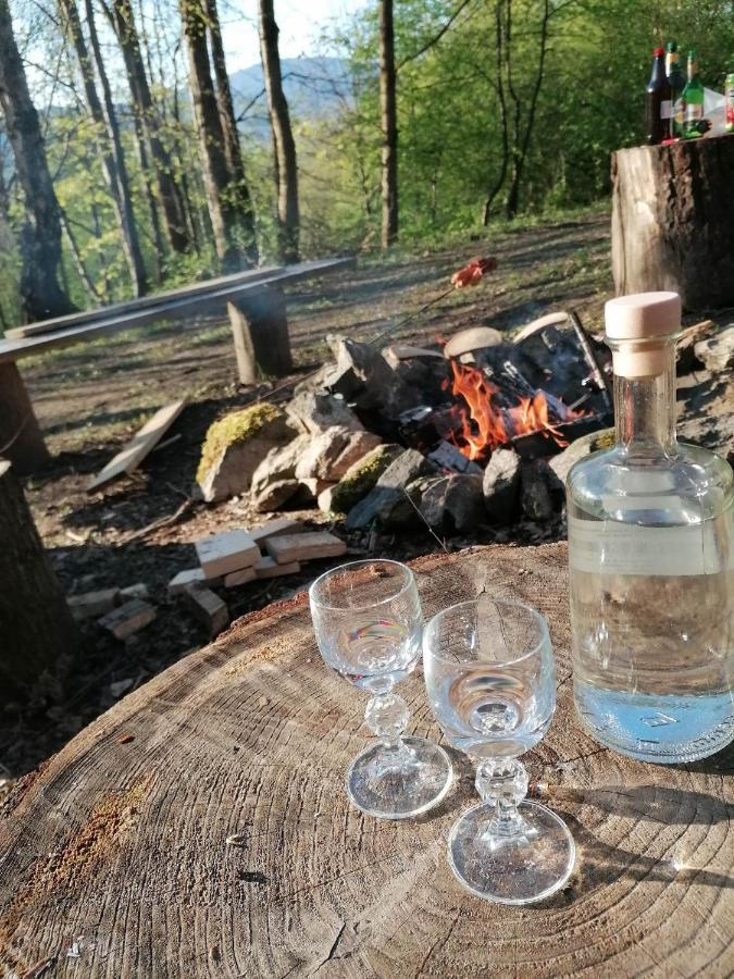 Treehouse Velké Losiny 외부 사진