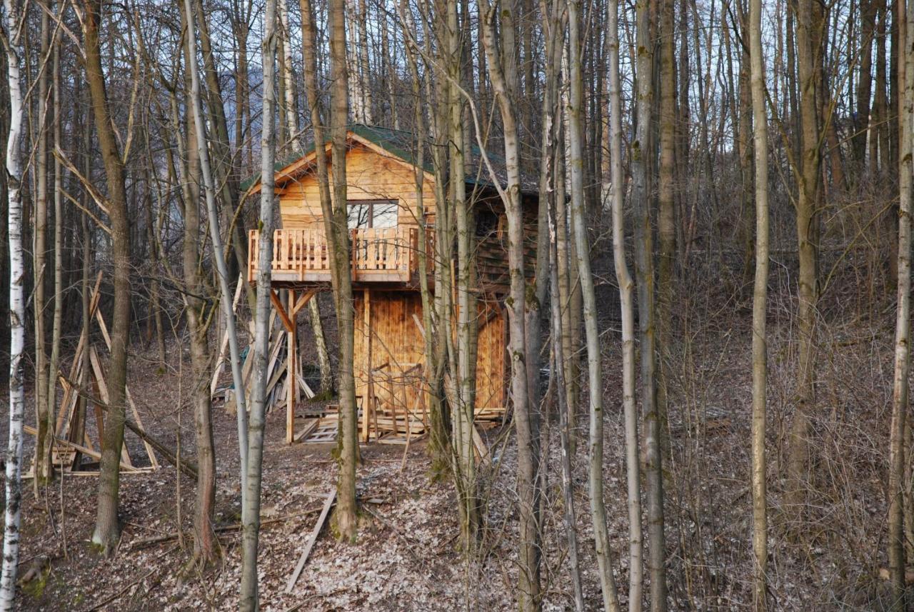 Treehouse Velké Losiny 외부 사진