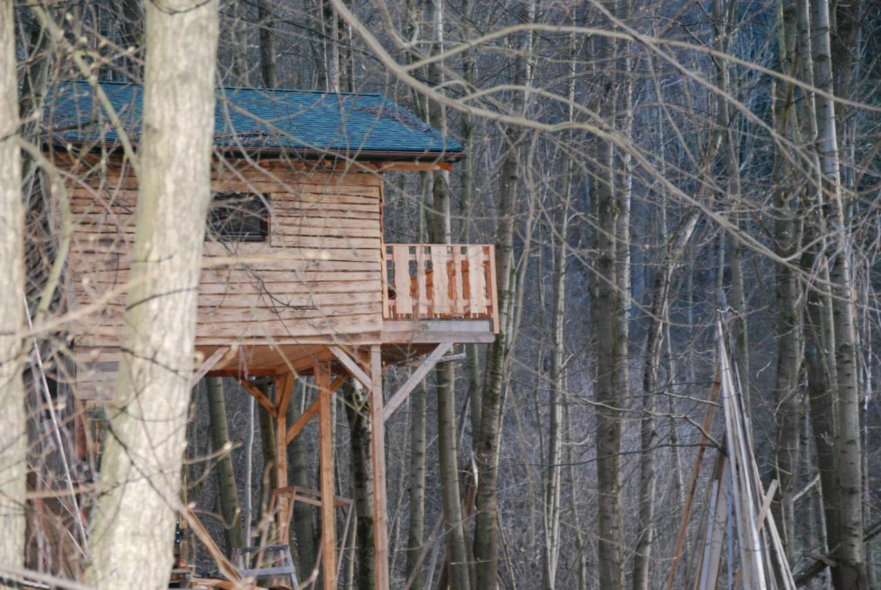 Treehouse Velké Losiny 외부 사진