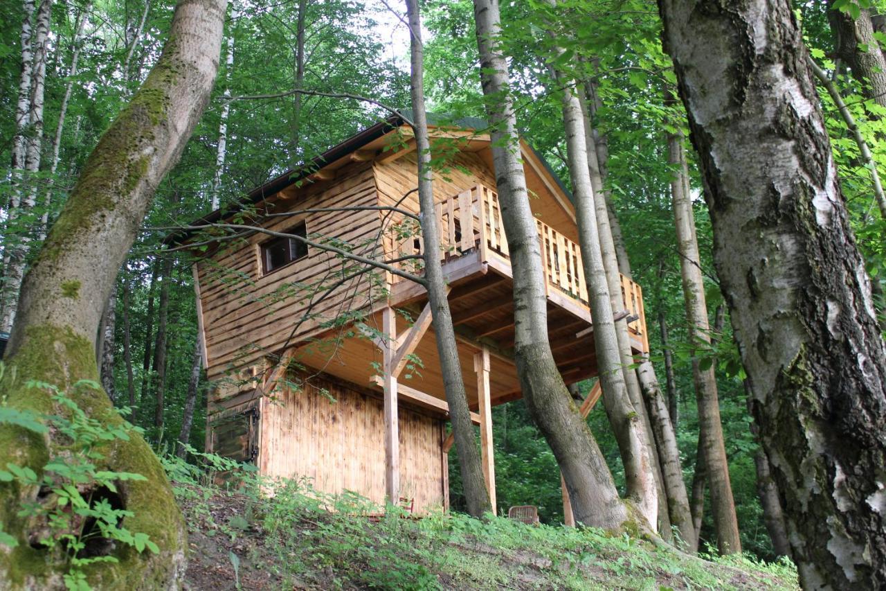 Treehouse Velké Losiny 외부 사진